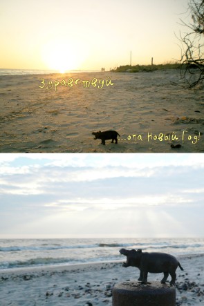 greeting_card (1)