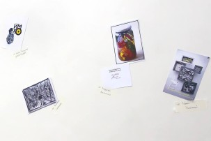 mediaelka2016 (20)