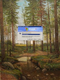 potapov (2)