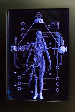 940_IMG_7773