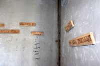 972_IMG_7837